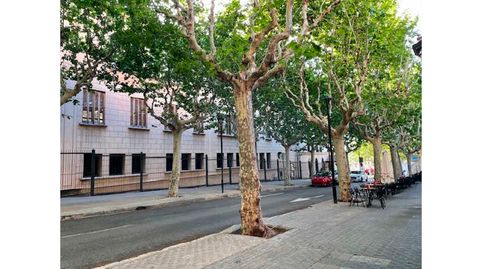 Foto 4 de Oficina en venda a La Riera, 175, Centre, Mataró