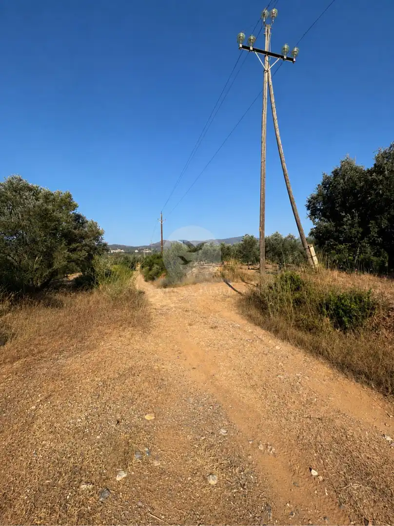 Terreny rústic en venda a Garriguella, imagen 15