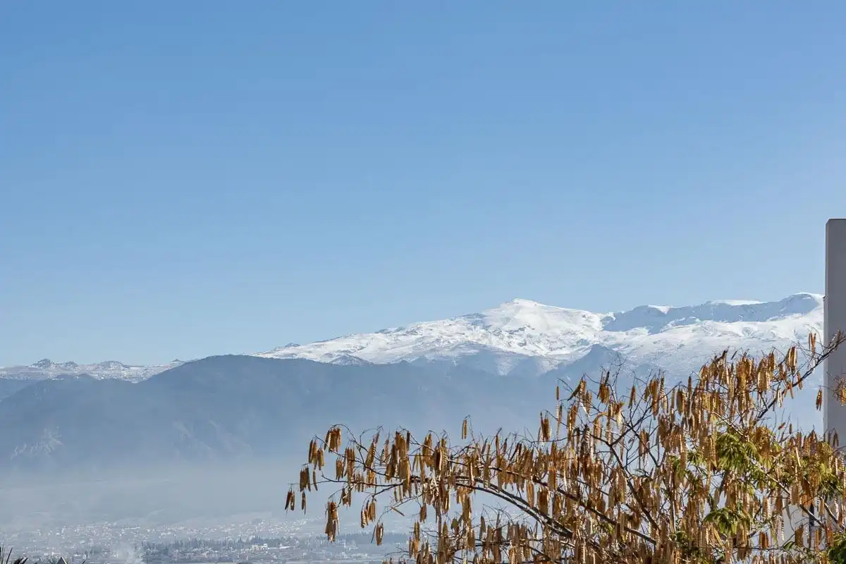 Chalet con piscina en venta en Paseo del Agua 35, imagen 28