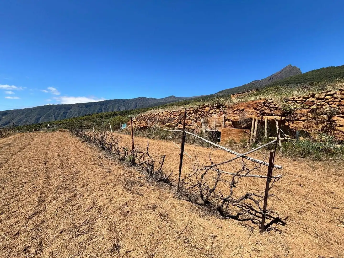 Rustikales Grundstück zum Verkauf in Polígono 1 Parcela 509 LAS CUESTAS. ARAFO (S.C. T 1, imagen 6