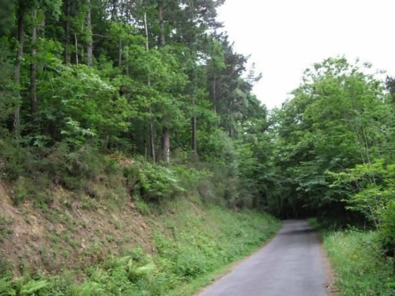 Terreny rústic en venda a Valdés - Luarca, imagen 6