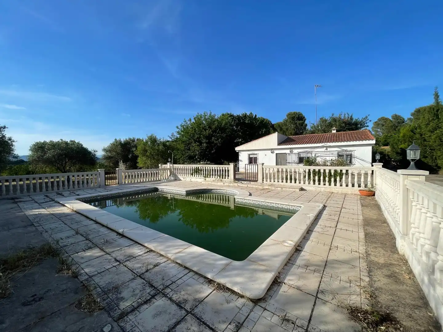 Piscina de Casa o chalet en venta en Pedralba con Jardín privado, Terraza y Piscina