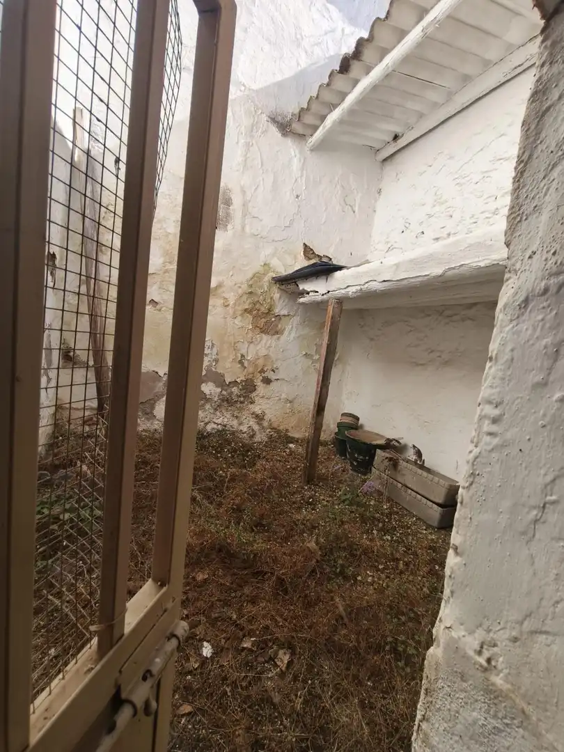 Maison avec terrasse à vendre à Colmenar, imagen 48