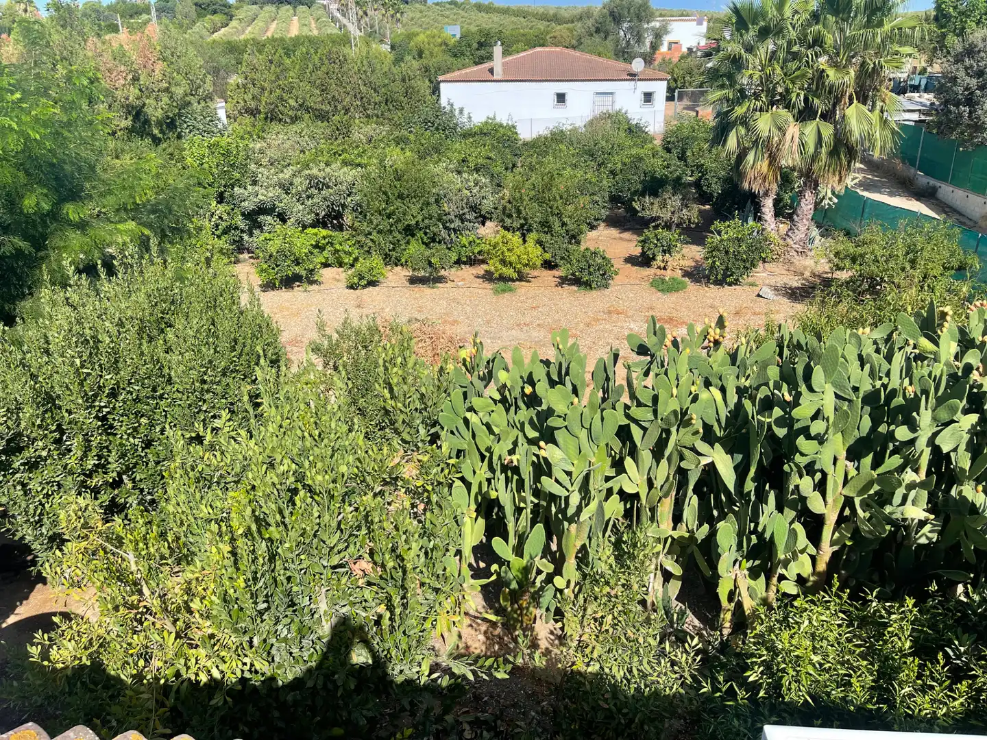 Country homes for sale in Cantillana