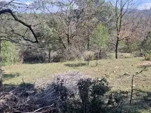 Country homes for sale in Santa Maria d'Oló