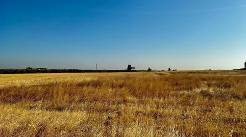 Foto 2 de Terreny industrial en venda a La Carlota, Córdoba