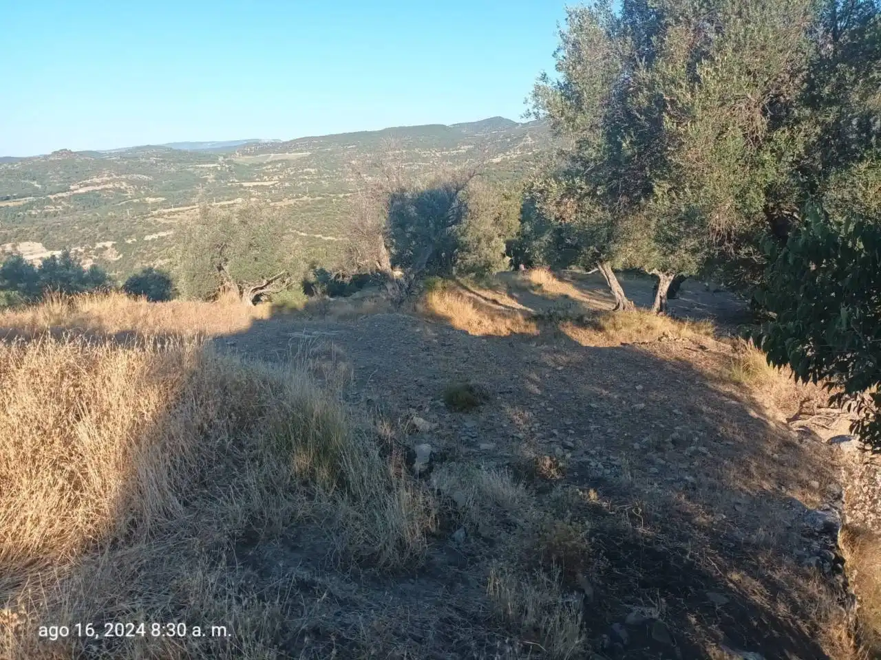 Land for sale in Isábena