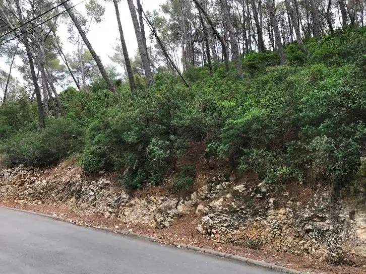 Terrain rustique à vendre à C/ Sorolla, imagen 7
