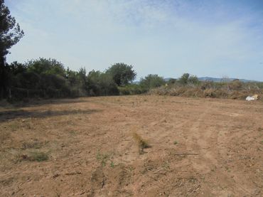 Terreny rústic en venda a Vilamarxant