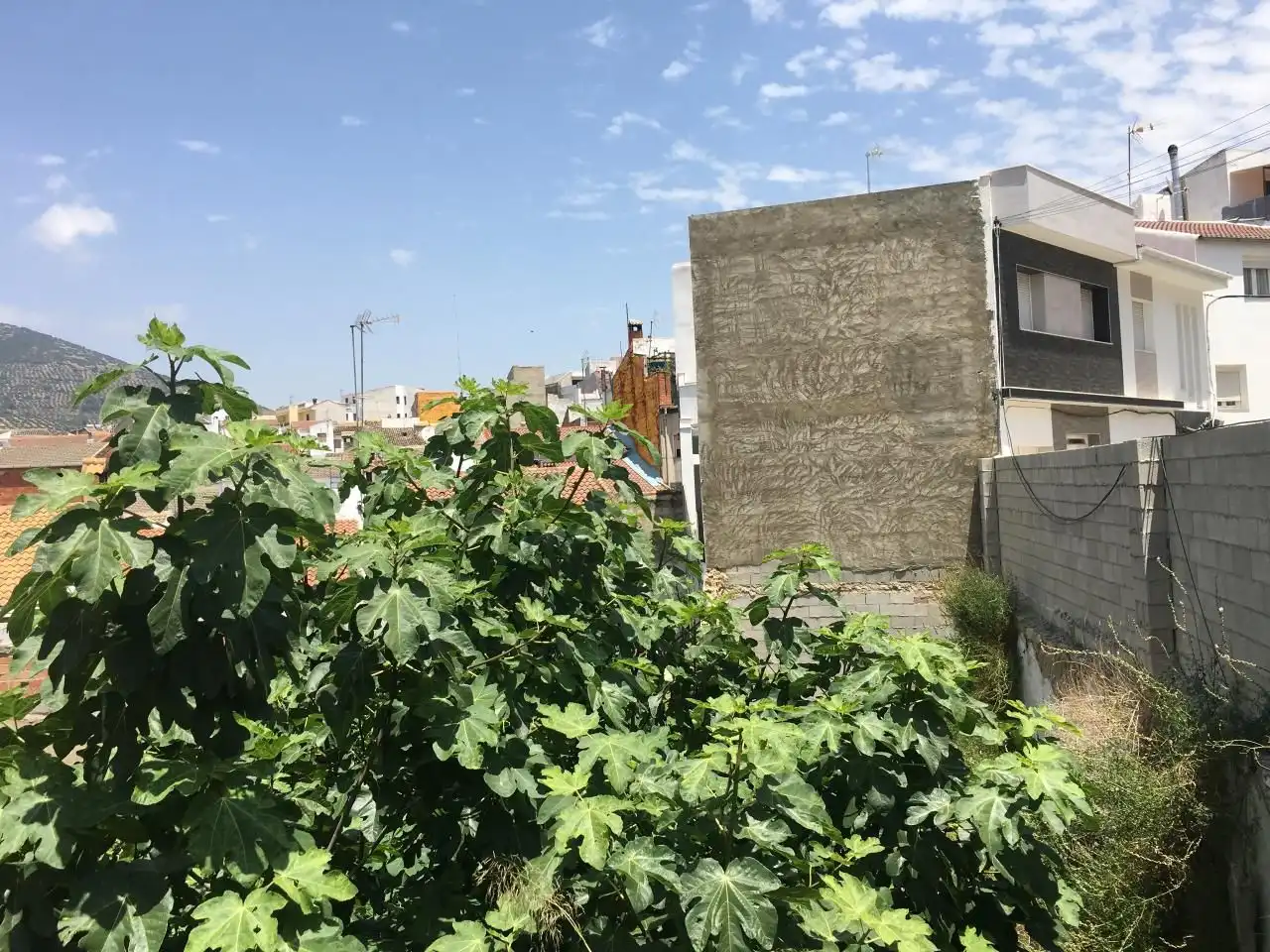 Wohnbaugrundstück zum Verkauf in Avenida Juana 1, imagen 2