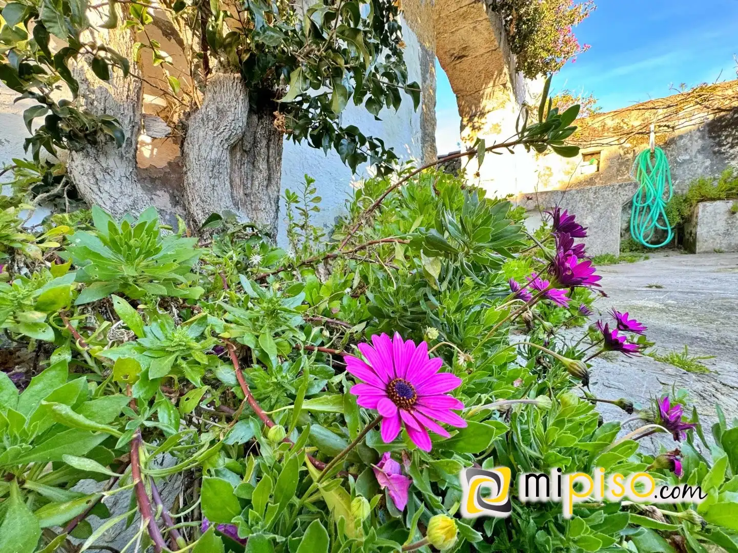 Jardí de Casa o xalet en venda en Arnuero