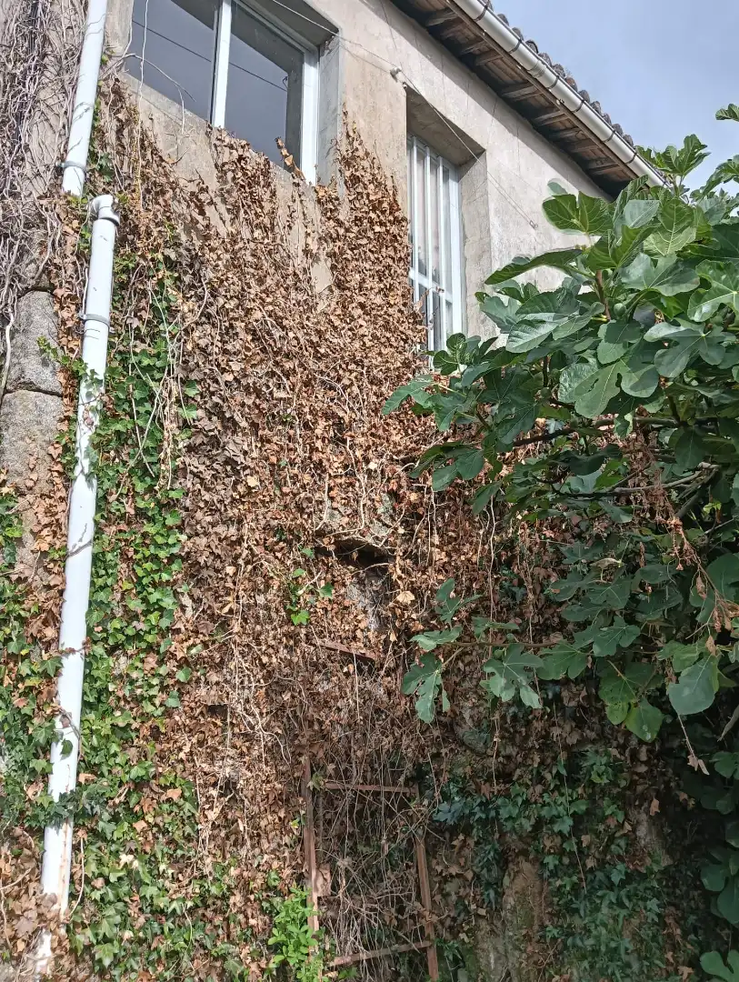 Maison avec jardin à vendre à Paderne de Allariz, imagen 11