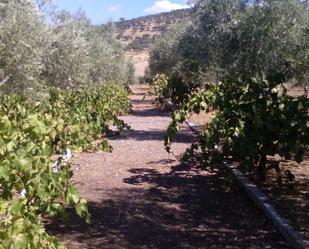 Jardí de Residencial en venda en Villanueva del Rey