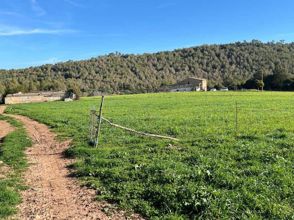 Finca rústica en venta en Artà con Trastero