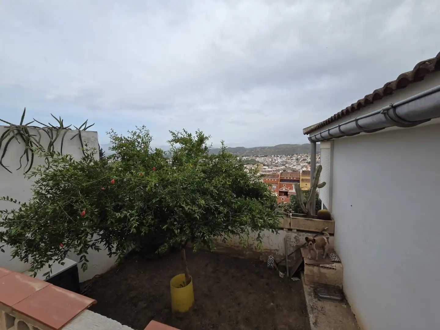 Casa o chalet en venta en Málaga con Jardín privado, Terraza y Piscina