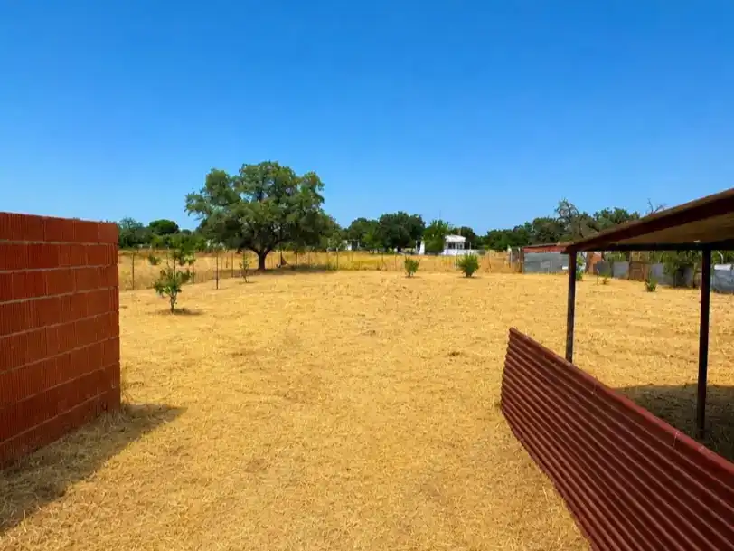 Piso en venta en Carretera de Sevilla - Los Montitos