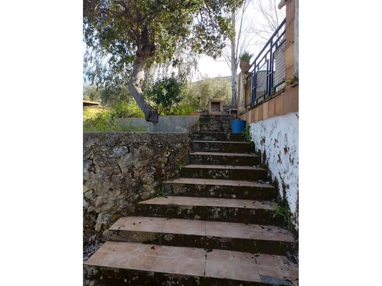 Terrenos y solares en venta en Badajoz, imagen 13