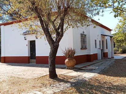 Vista exterior de Casa o xalet en venda en Valverde del Camino amb Jardí privat, Traster i Alarma