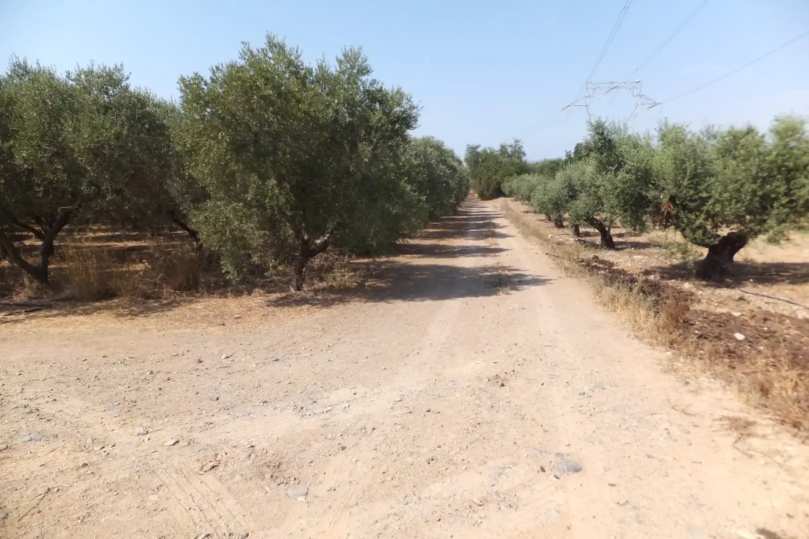 Terreno rústico en venta en Vial Camino 20, imagen 55