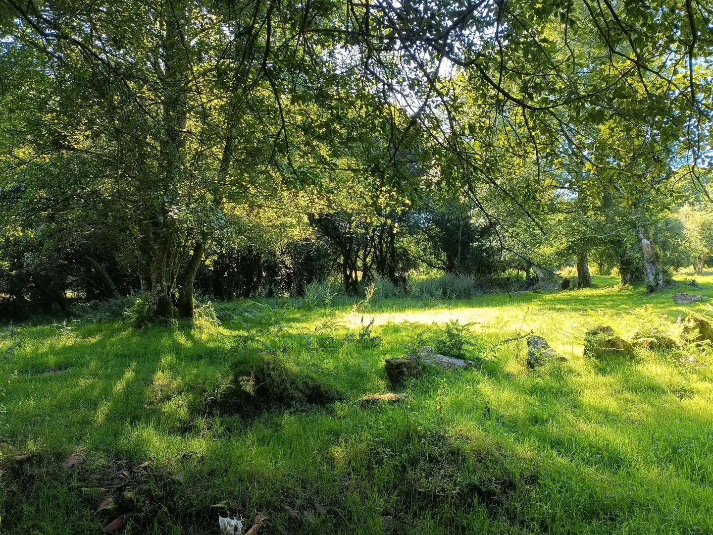 Casa o chalet en venta en Oza dos Ríos con Jardín privado y Trastero