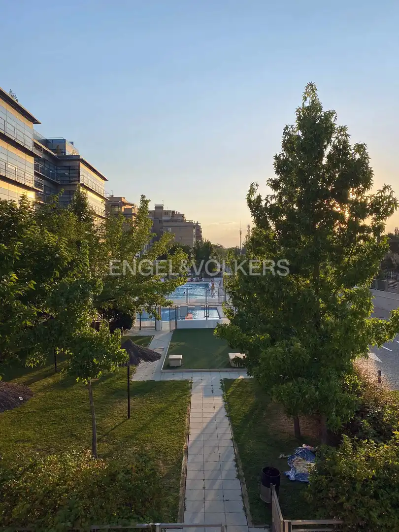 Swimming pool of Ground floor for rent in Madrid  with Air Conditioner, Heating and Private garden