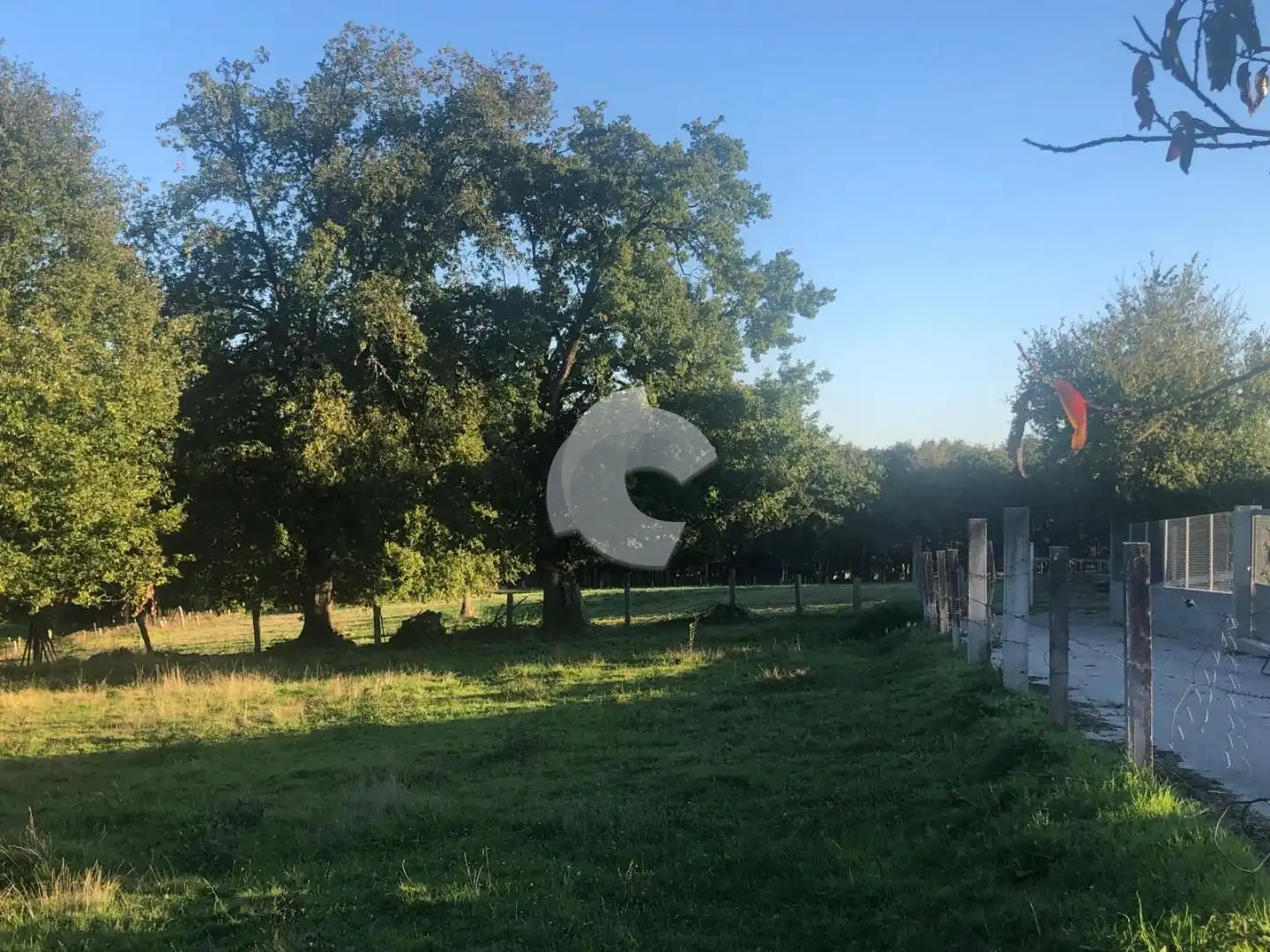 Terreni e lotti in vendita a Nogueira de Ramuín, imagen 4