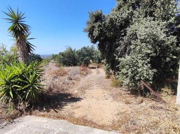 Terreno residencial en venta en T-704 2