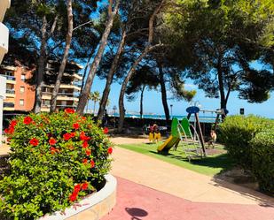 Jardí de Estudi en venda en Cambrils amb Aire condicionat, Moblat i Rentadora