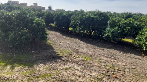 Oportunidad Finca de Naranjo, immagine 5