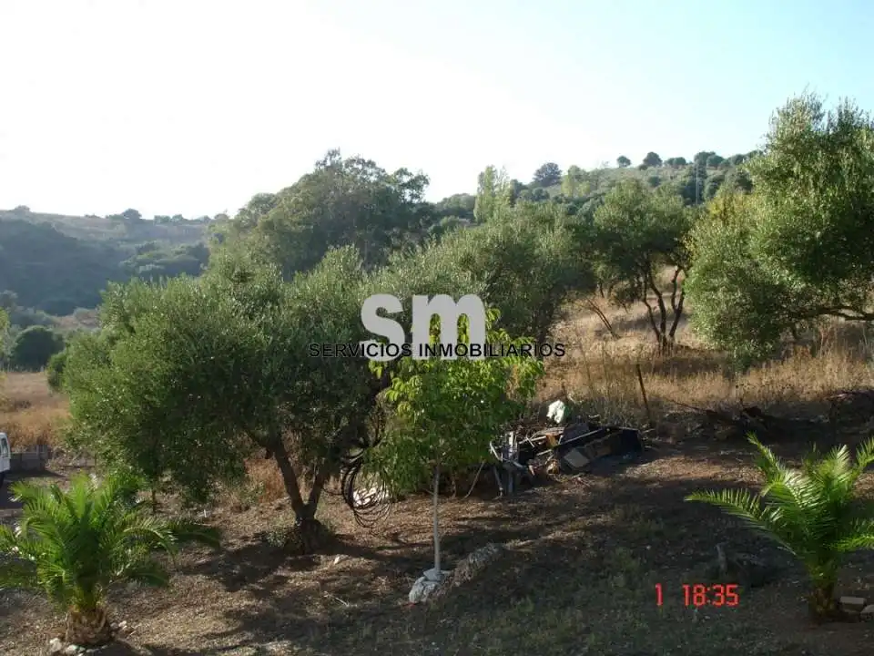 Terreni e lotti in vendita a Ubrique, imagen 21