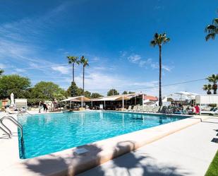 Swimming pool of Premises for sale in Orihuela