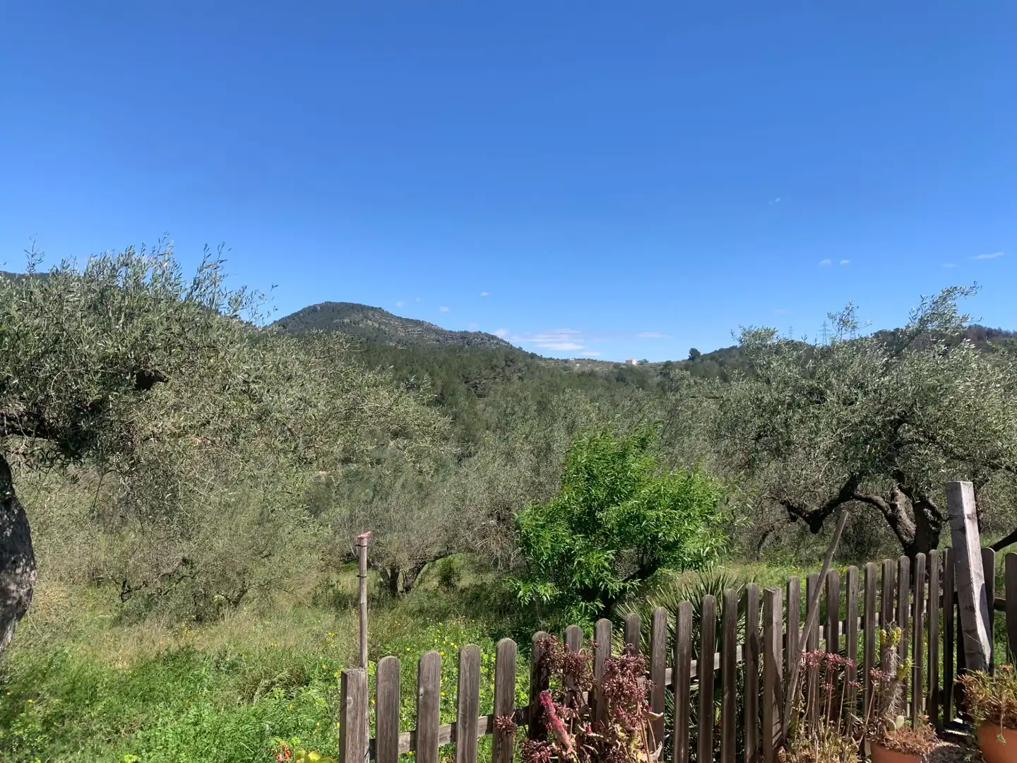 Landhaus zum Verkauf in El Perelló, imagen 41