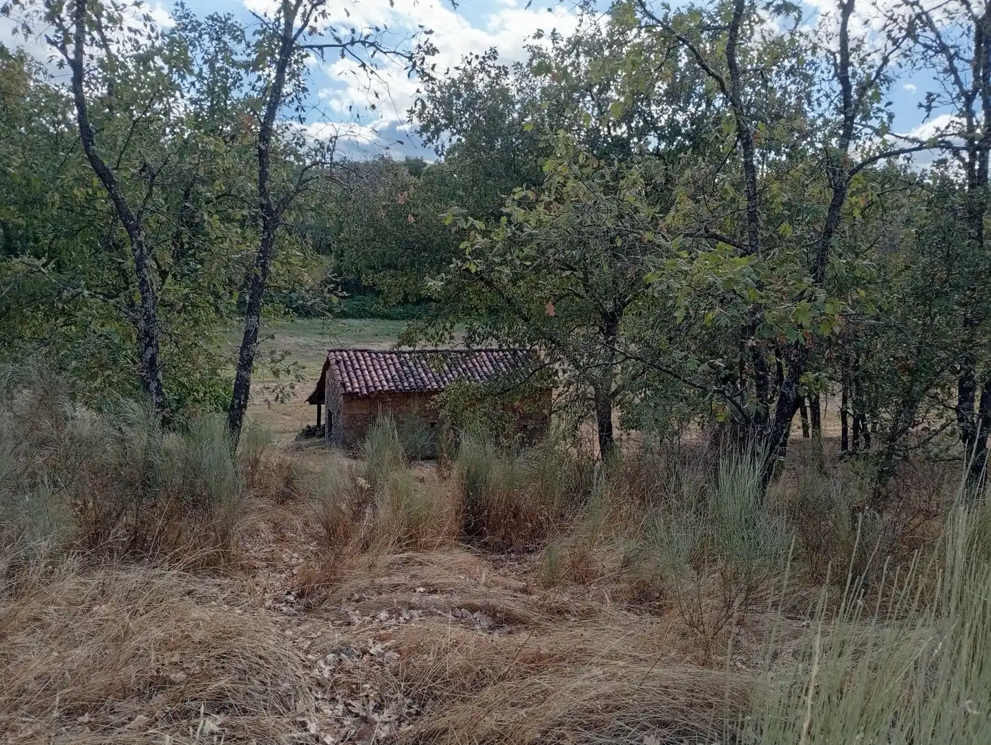 Terreni e lotti in vendita a Villanueva de la Vera, imagen 44