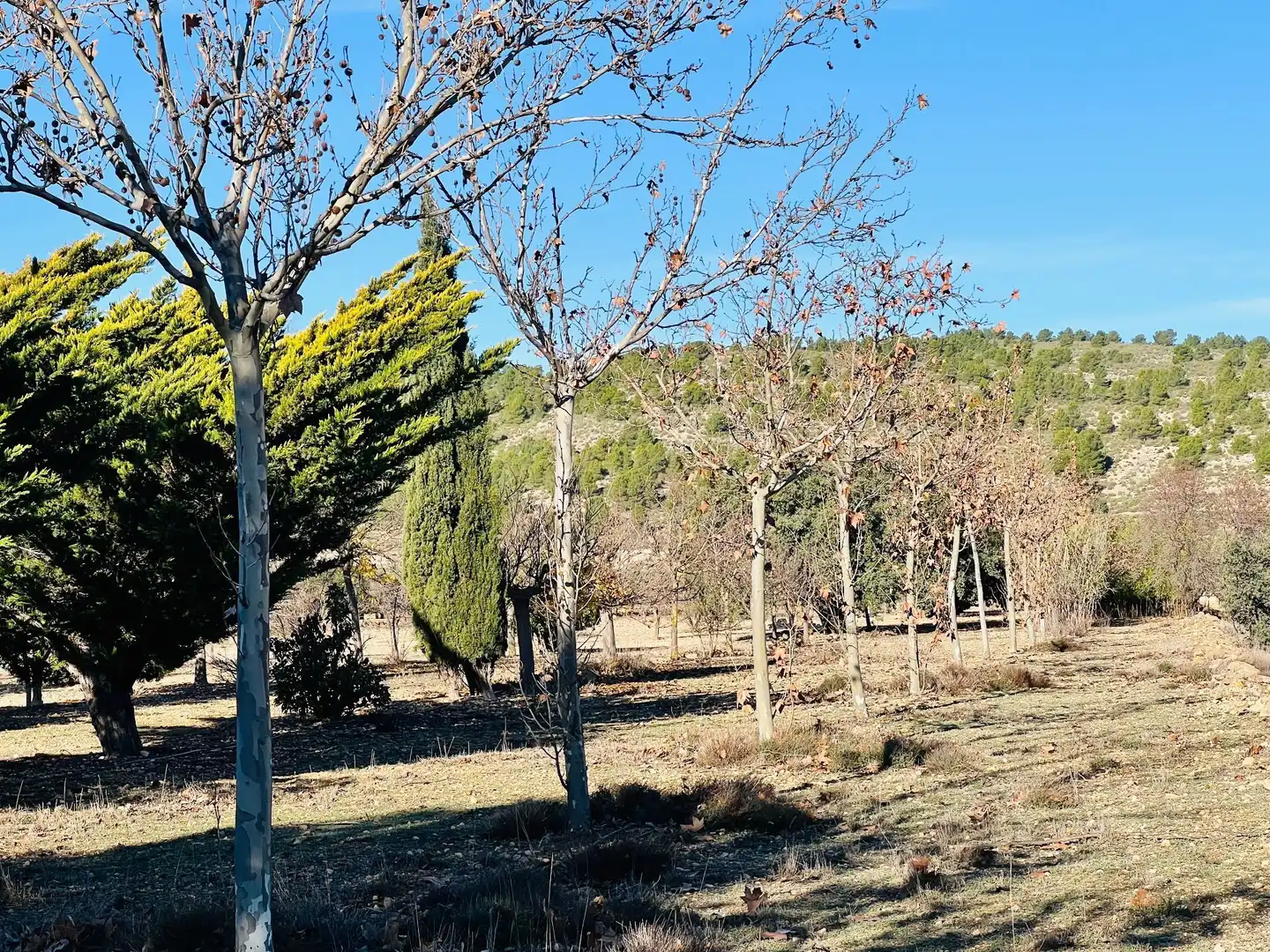 Terreny residencial en venda a Cañada, imagen 17