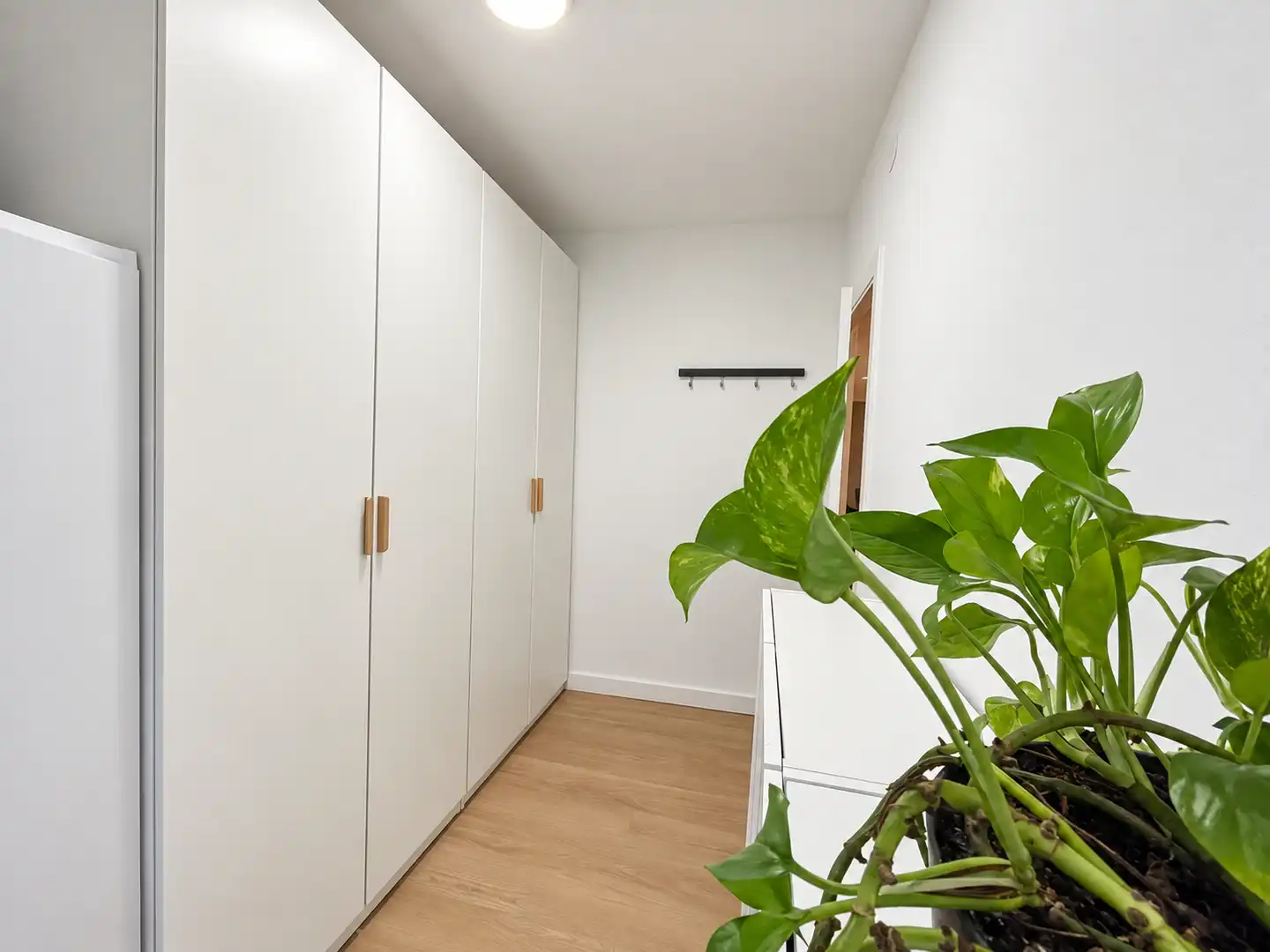 Piso con jardín en venta en El Gall, imagen 32