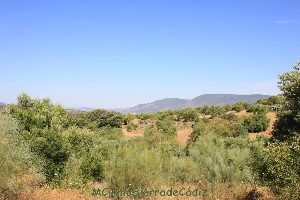 Finca rústica en venta en Montecorto