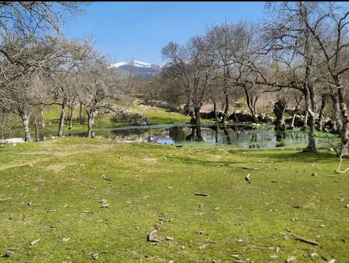Terreny rústic en venda a Calle Guadamolinos, imagen 7