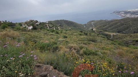 Foto 2 de Finca rústica en venta en Monte los Almendros - El Pargo - Costa Aguilera, Salobreña