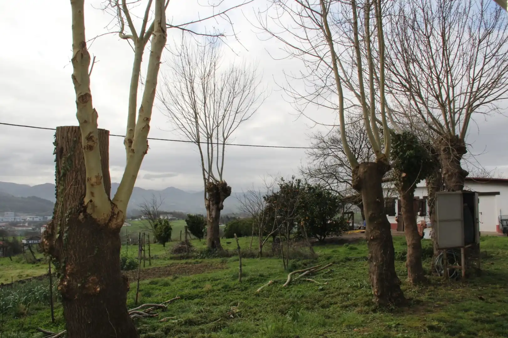 Apartamento de alquiler en Lezo