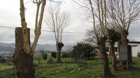Foto 2 de Apartamento de alquiler en Lezo, Gipuzkoa