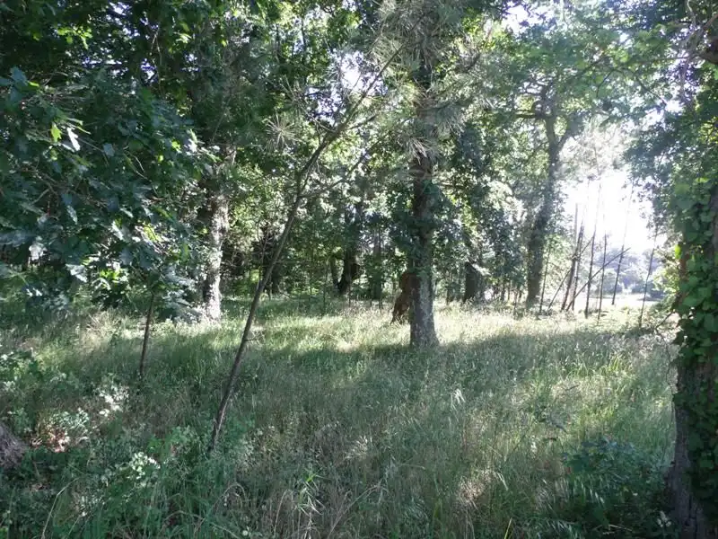 Wohnbaugrundstück zum Verkauf in Boiro