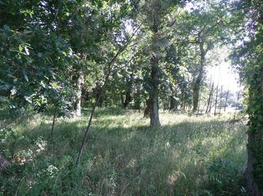 Terreno residenziale in vendita a Boiro