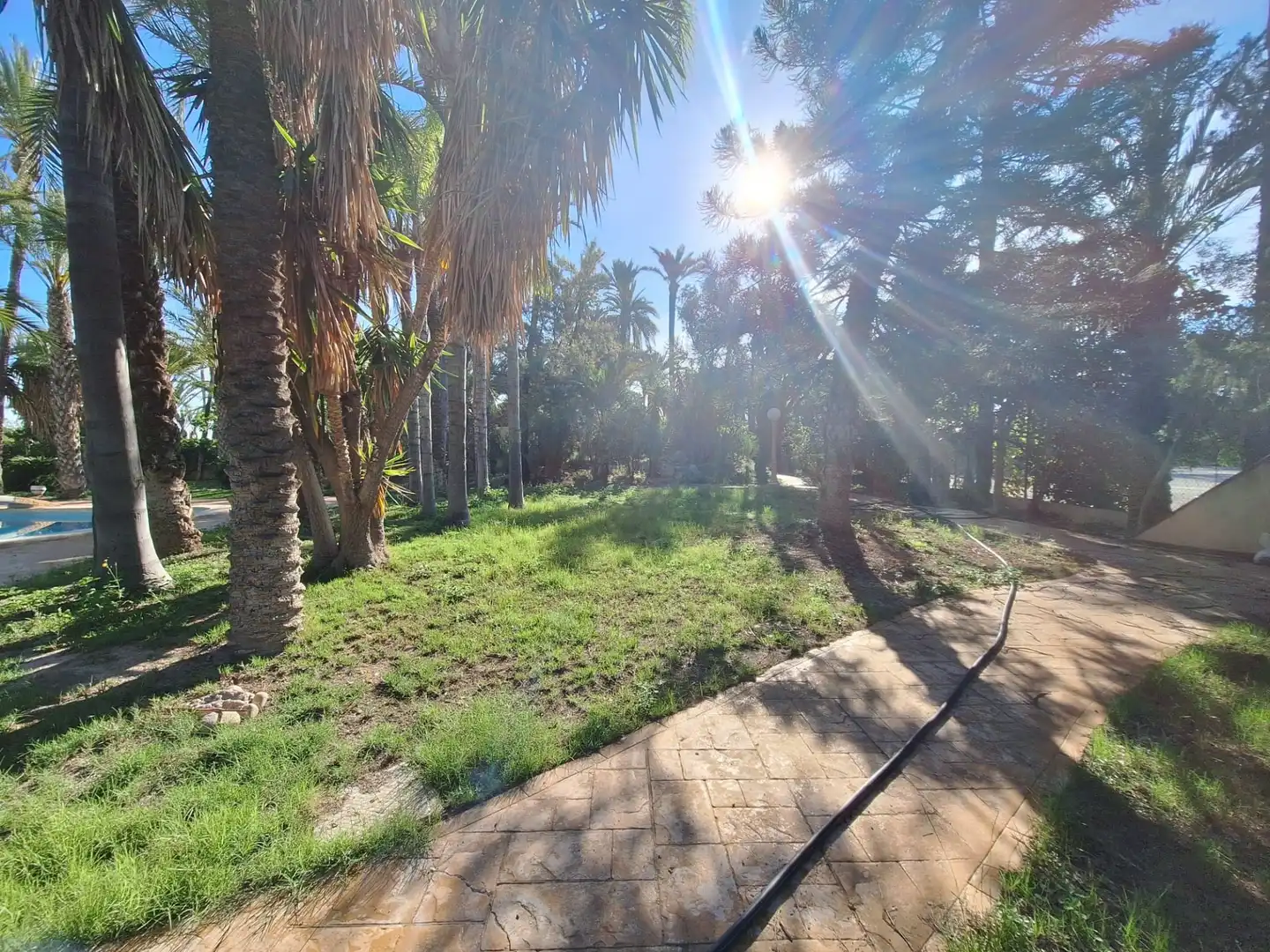 Casa o chalet en venta en Elche / Elx