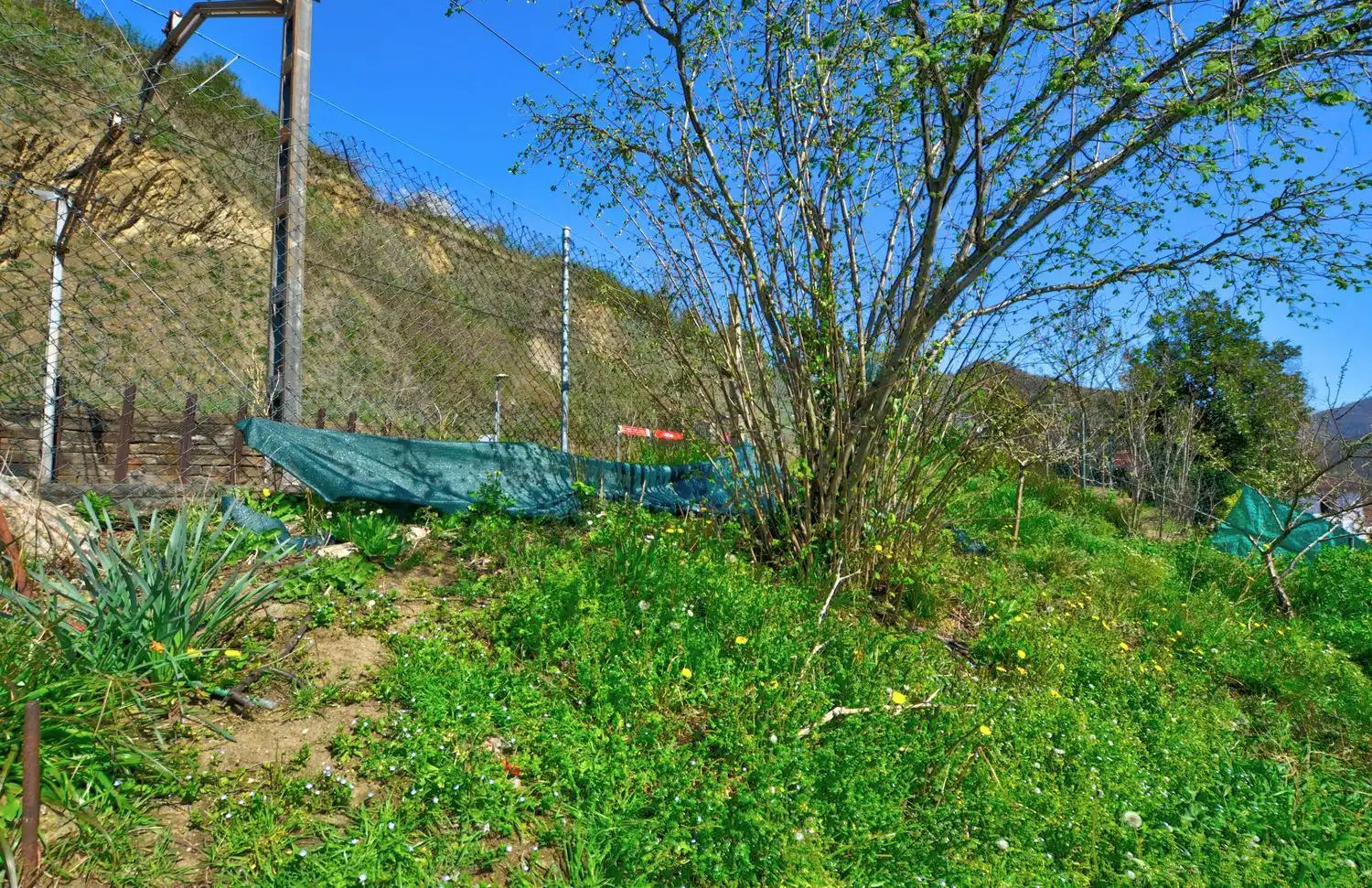 Casa o xalet en venda en Lena amb Calefacció, Terrassa i Traster