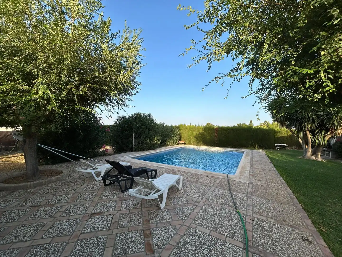 Piscina de Casa o chalet en venta en Carmona con Aire acondicionado, Terraza y Piscina