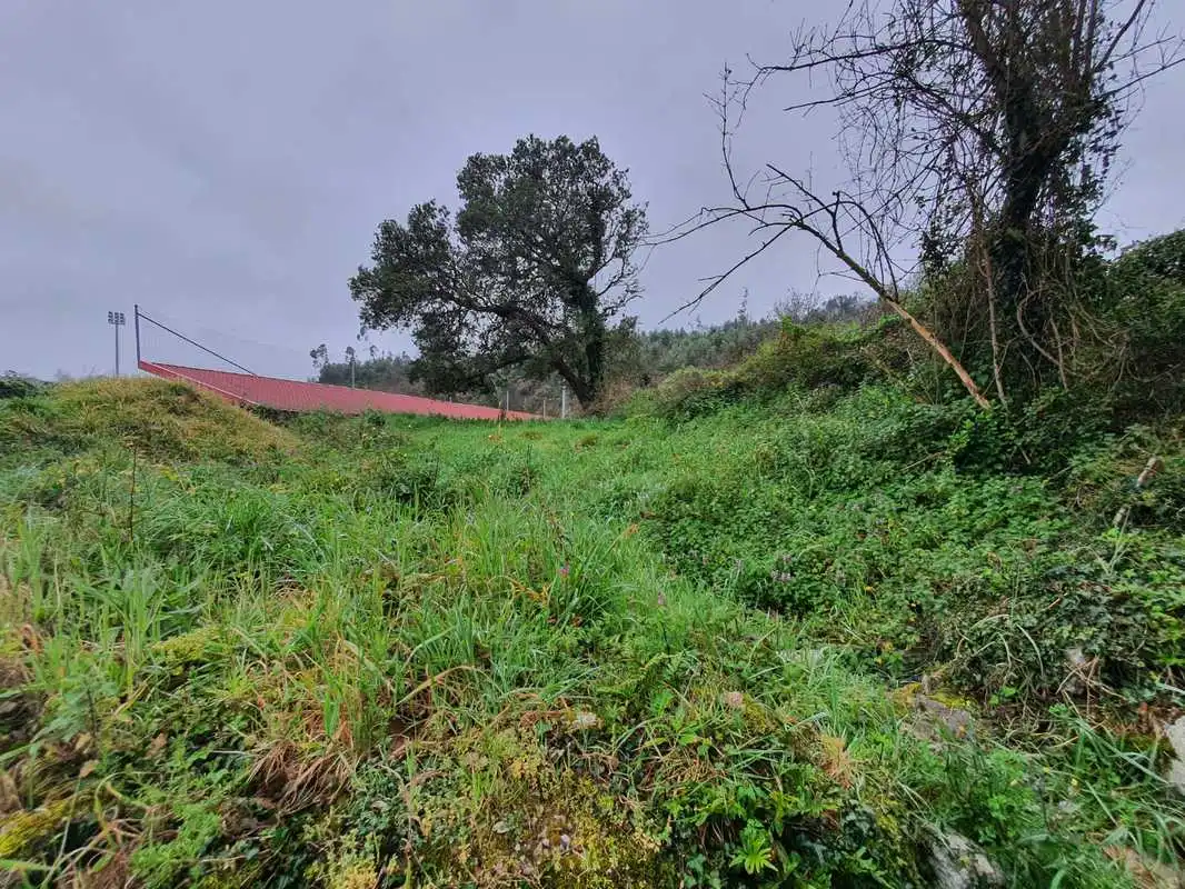Terreno en venta en Ribadesella