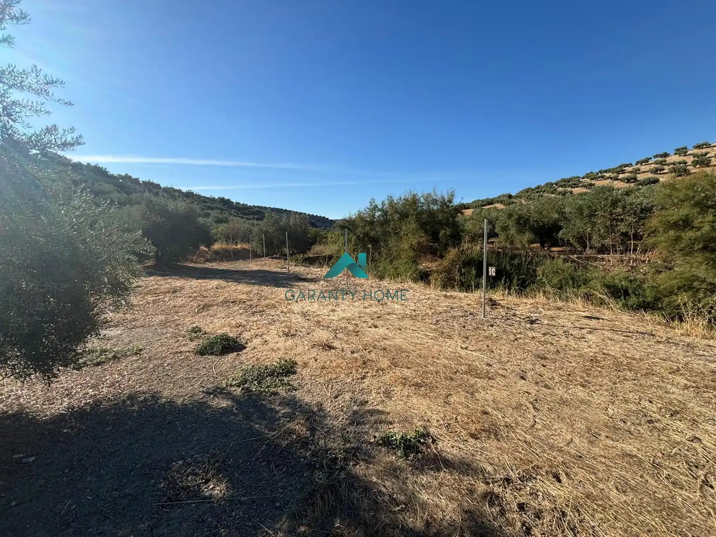 Terreno rústico en venta en Torredonjimeno, imagen 5