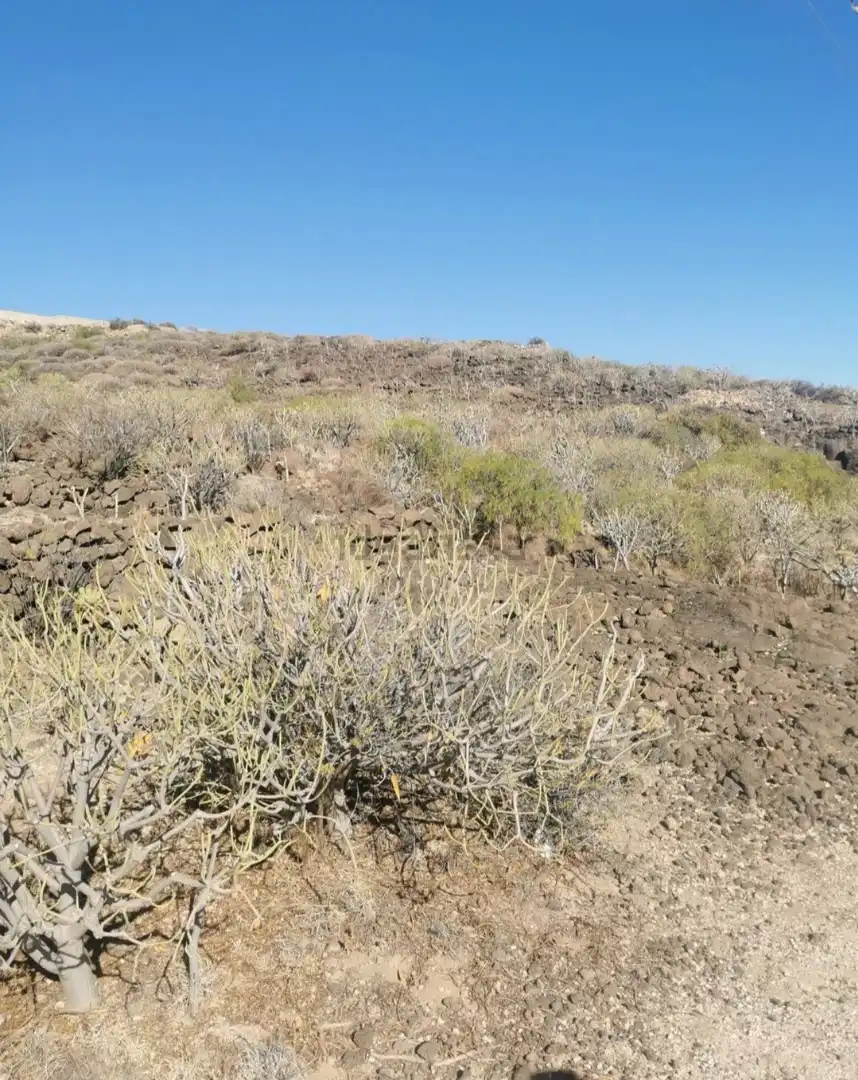 Rural land for sale in TF-28, imagen 2
