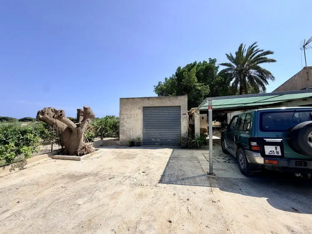 Exterior view of Country homes for sale in Elche / Elx