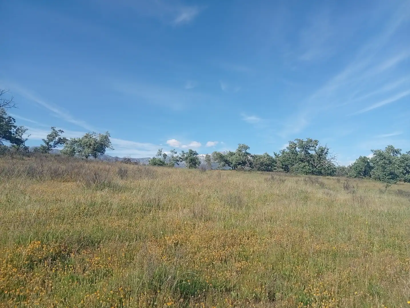Terreni e lotti in vendita a Villanueva de la Vera